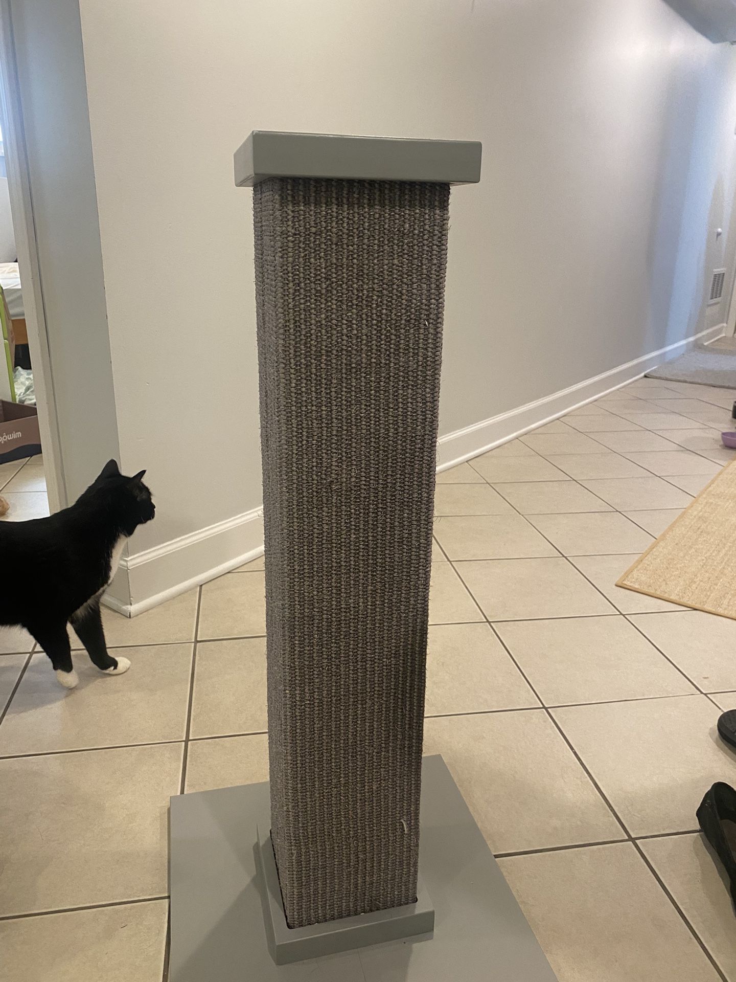Cat Scratcher