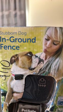 Pet safe