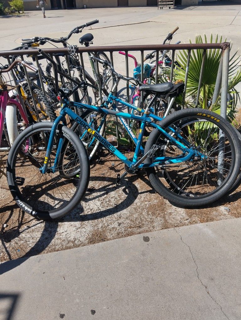 29 Inch GT Pro Performance Bmx