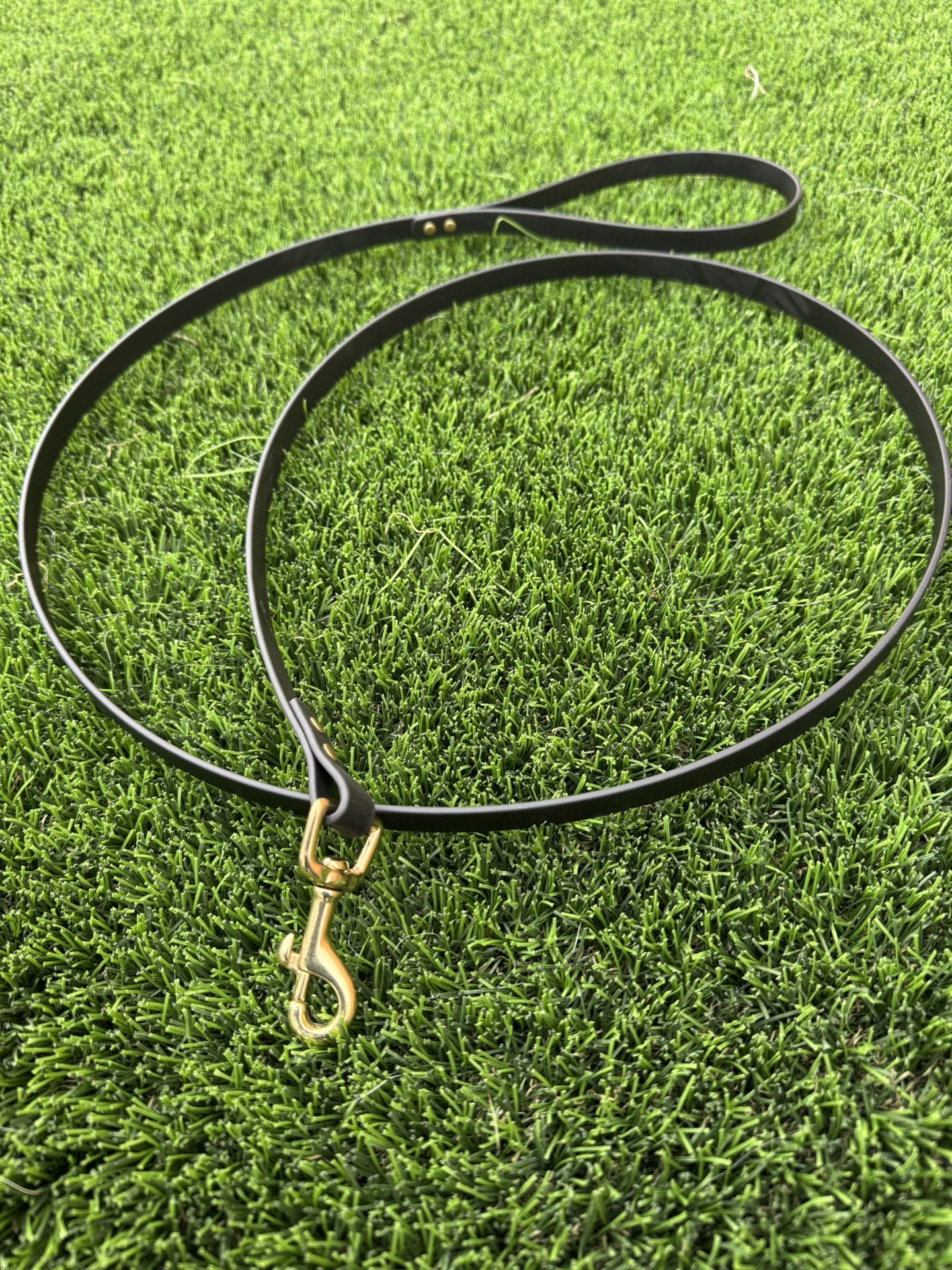 Biothane Cat Leashes