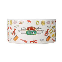 Friends Central Perk "Joey Doesn't Share Food" 6 inch Ceramic Pet Bowl