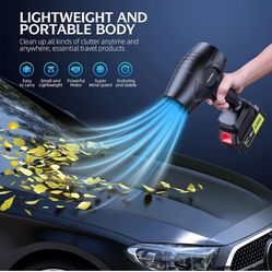 Cordless Blower with 2 batteries 