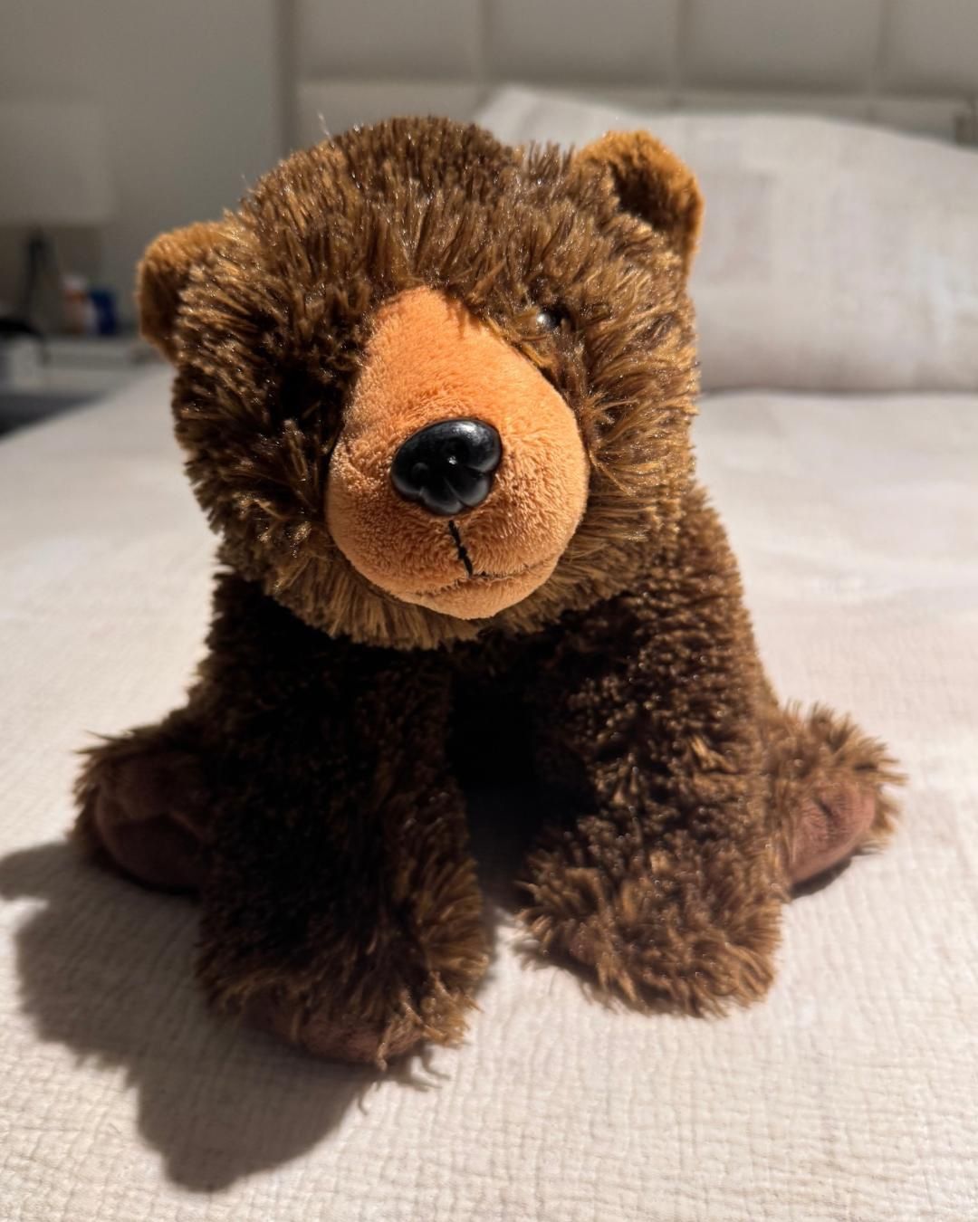 bear plushie