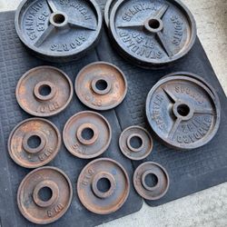Weights With Weight Holder 