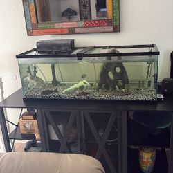 Fish Tank ( Pls READ DESCRIPTION) 
