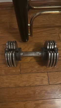 20lb removable dumbbell