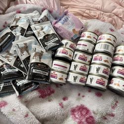 Renal Kidney Cat Food Royal Canin Supplement 