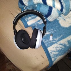 turtle Beach headset 