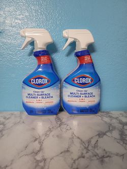 2 clorox