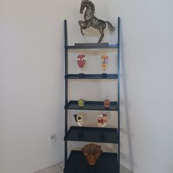 Latter Shelving 