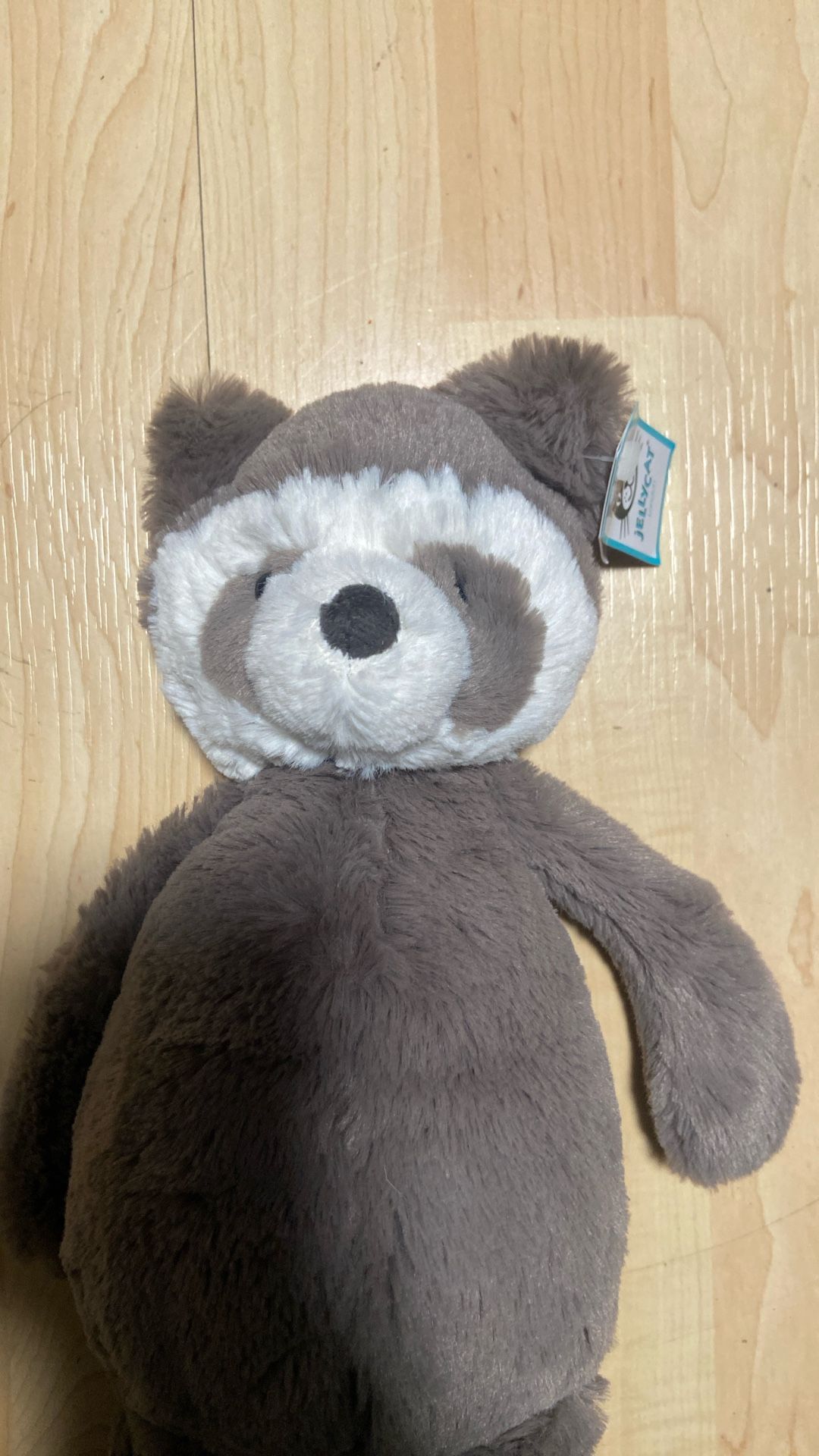 Retired Jelly Cat Raccoon With Tag