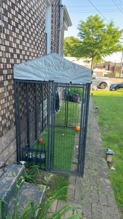 Dog Enclosure