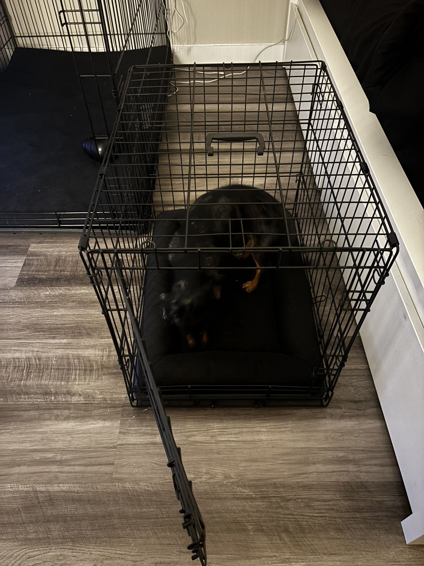 Small Dog Crate