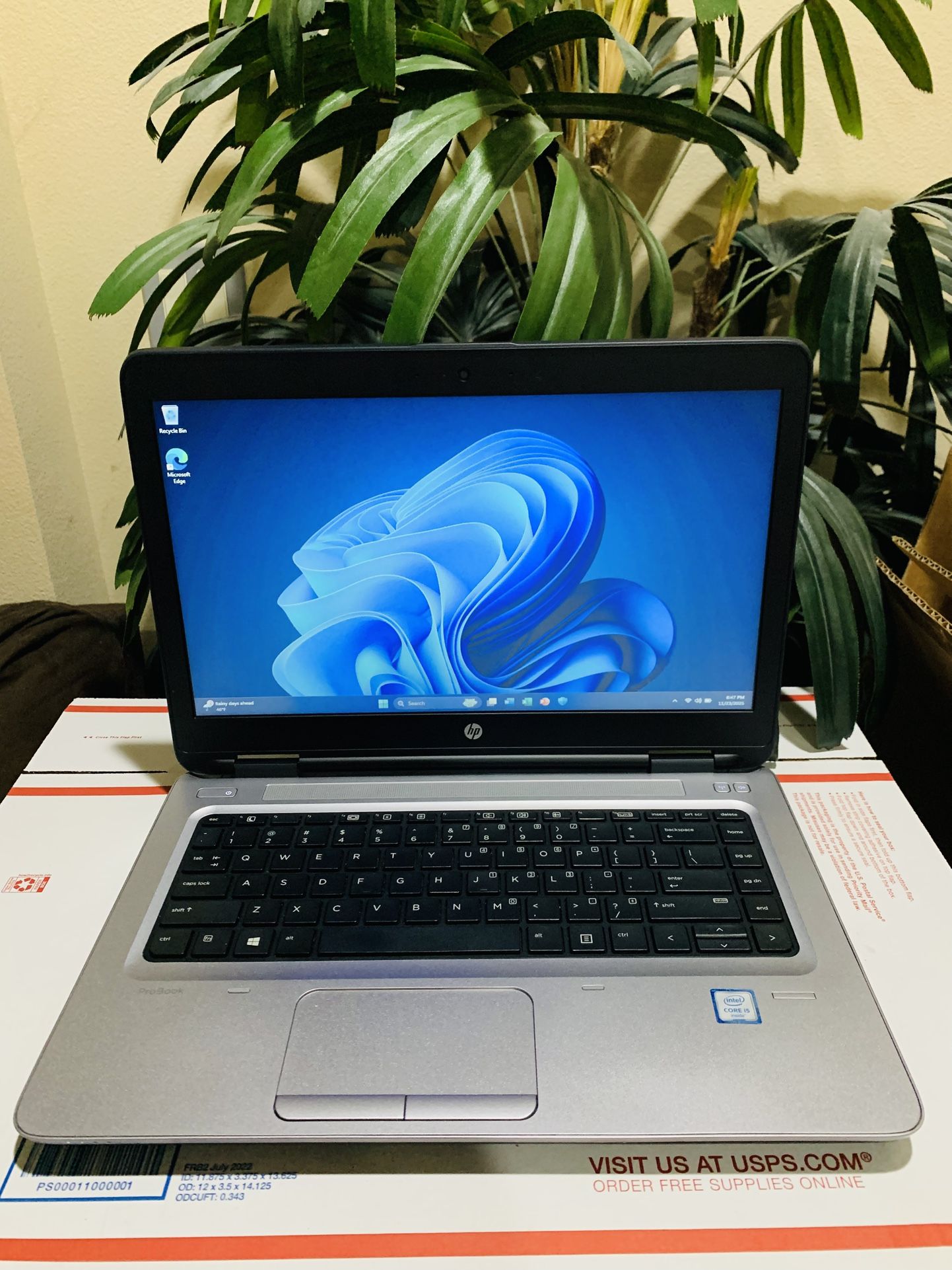 HP Laptop - 12GB DDR4 Ram, Intel Core i5 @ 2.30GHz, Windows 11 Pro 64bit, MS Office 2024