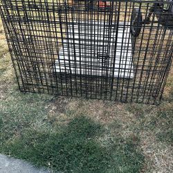 XL dog crate