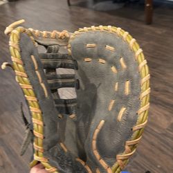 Catchers glove
