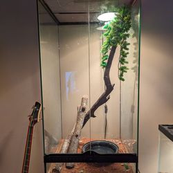Exo Terra Arboreal Reptile Tank 