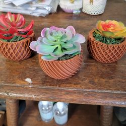 Succulent Decor (Artificial Plants)