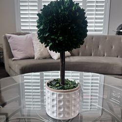 Decorative Topiary NWT Very pretty decorative topiary with matte finish base.