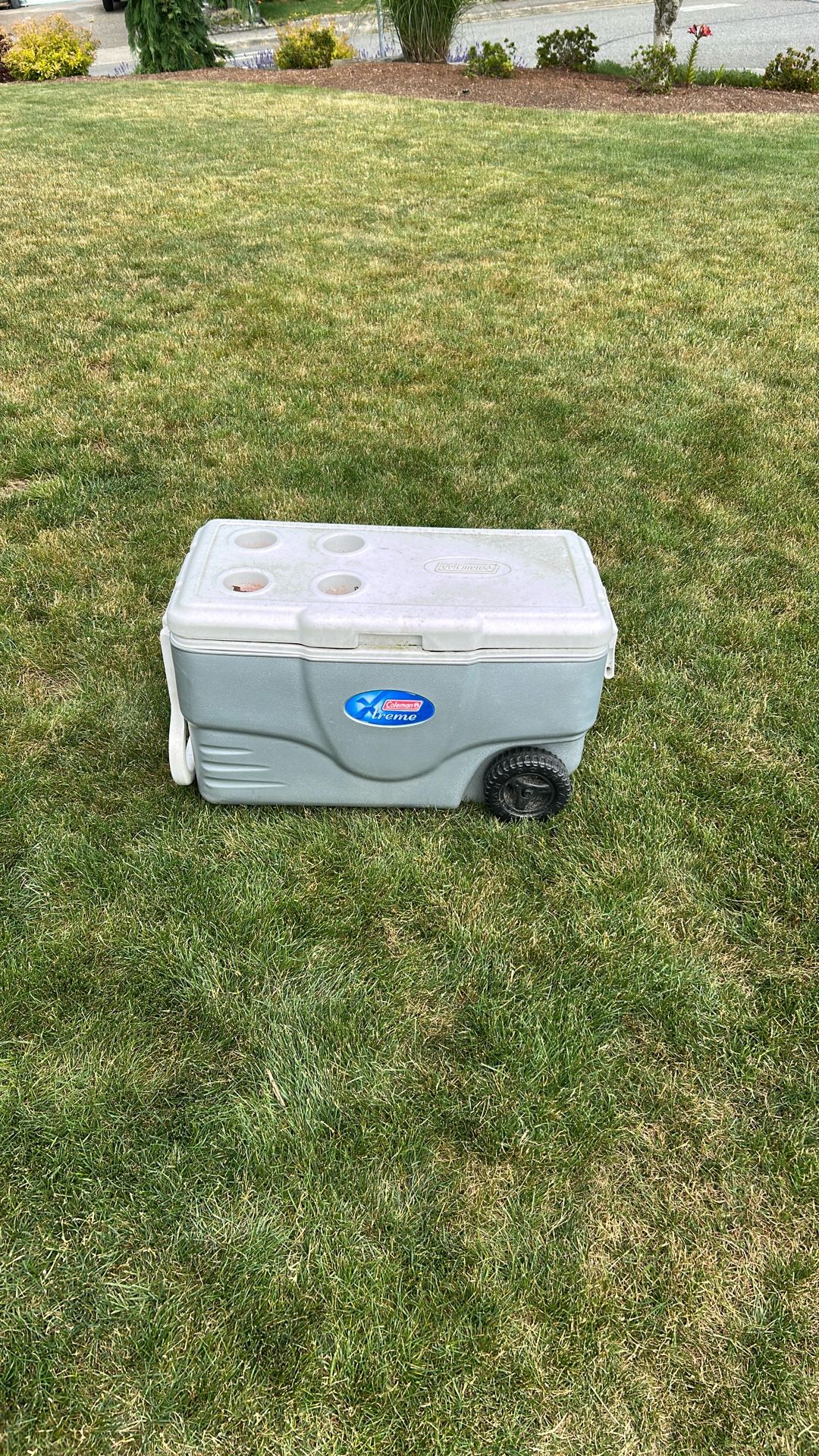 Free Coleman Cooler