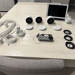 Google Home Security 