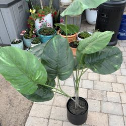 Beautiful Fake Plant