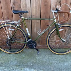 1967 Raleigh Record Bike