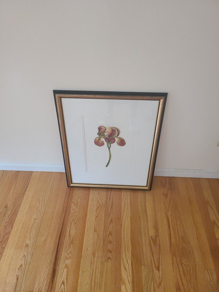 Flower Portrait Painting And Frame