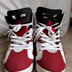 Air Jordan 6 Carmines Size 11