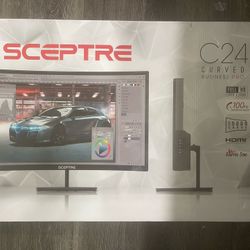 Monitor C24 CURVED BUSINESS PRO