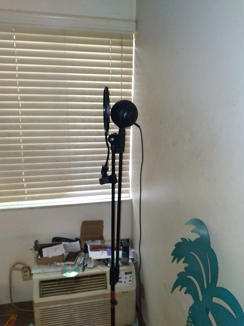 USB Snowball Mic