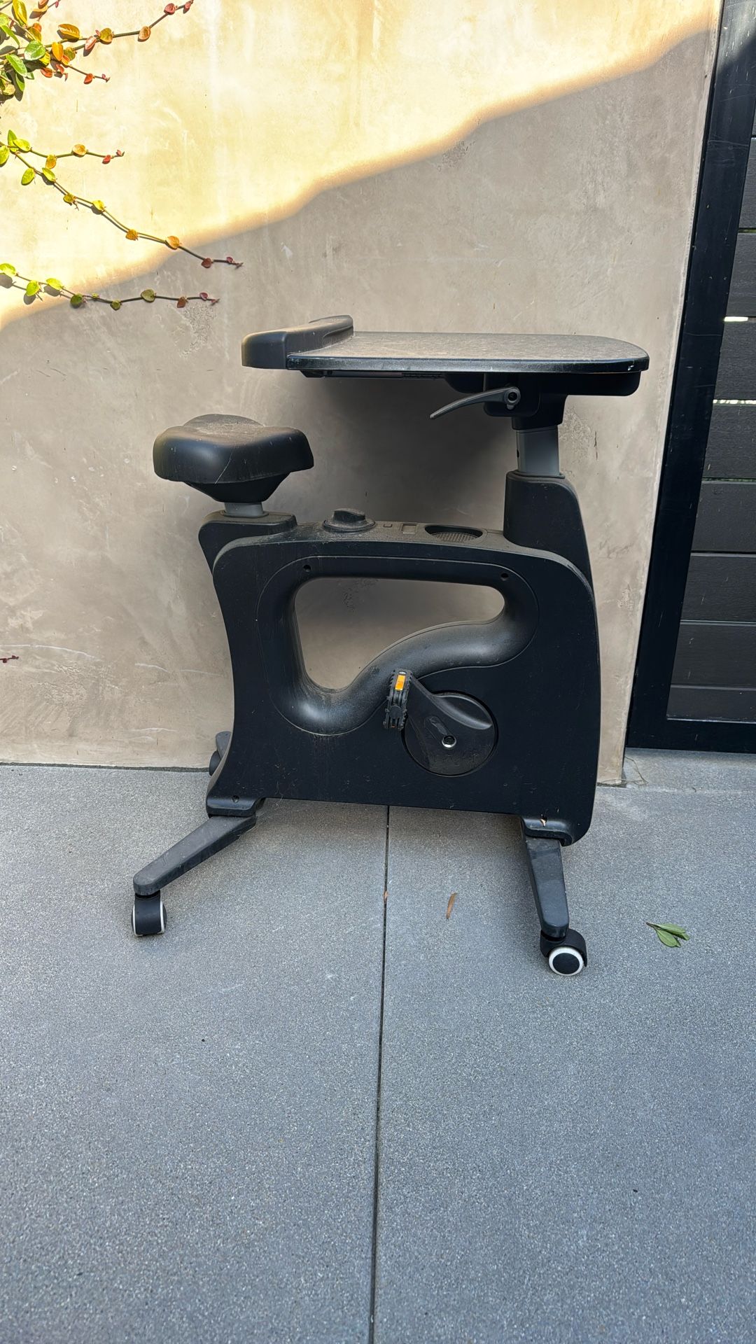 Exercise Bike / Desk