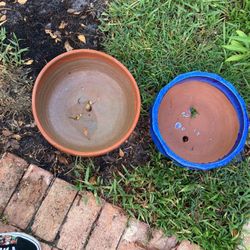 2 Large Pots 