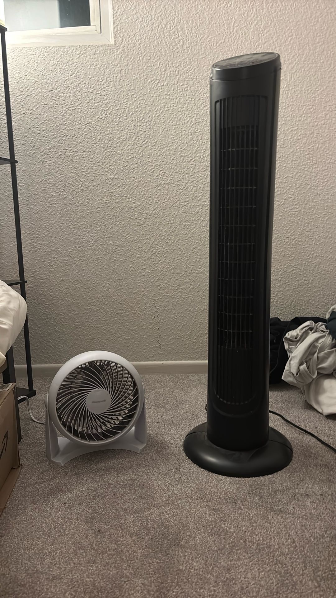 Two Fans