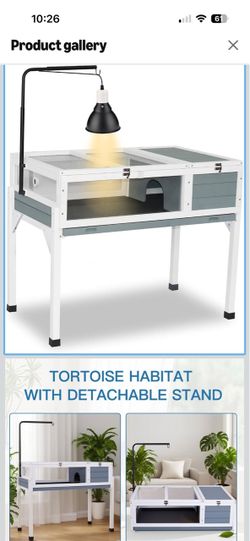 $20 reptile/chick enclosure