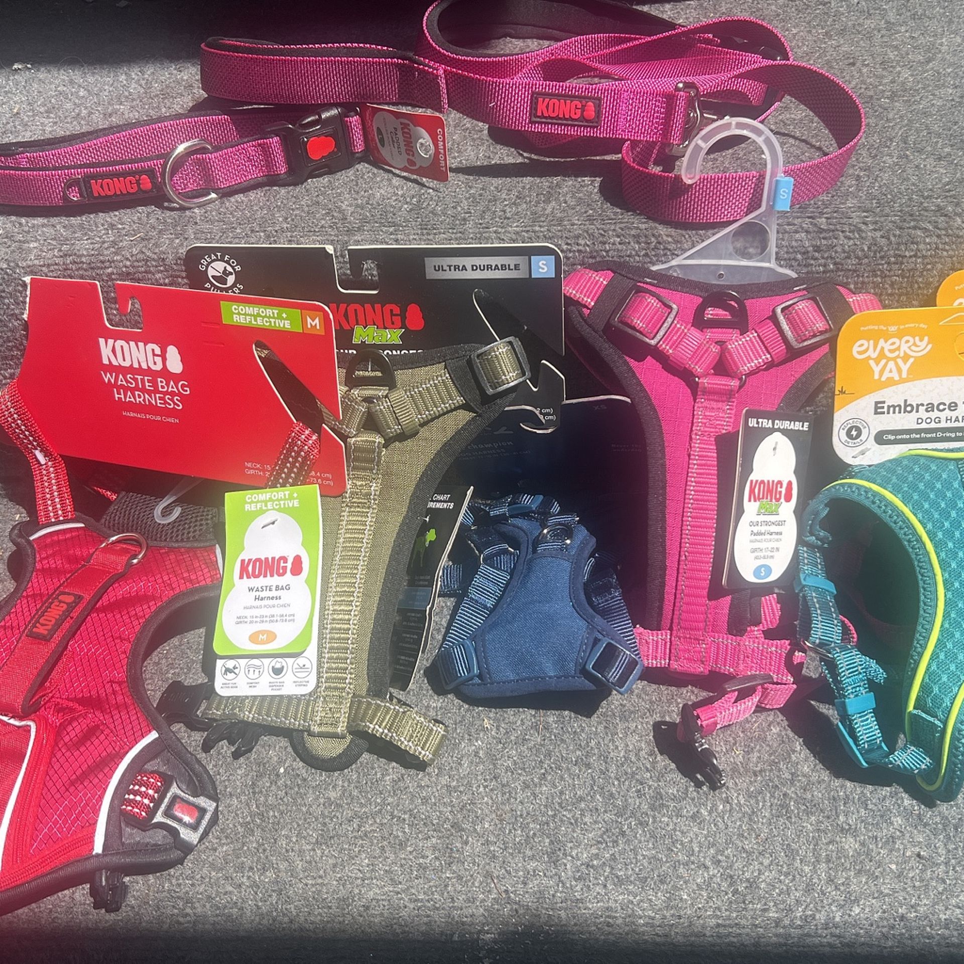 Brand NewDog Harnesses, Collars And Leashes  