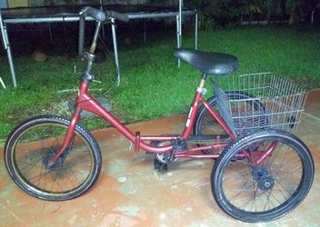 Trifecta tricycle 2025