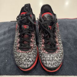 Nike Zoom LeBron Faze size 11.5