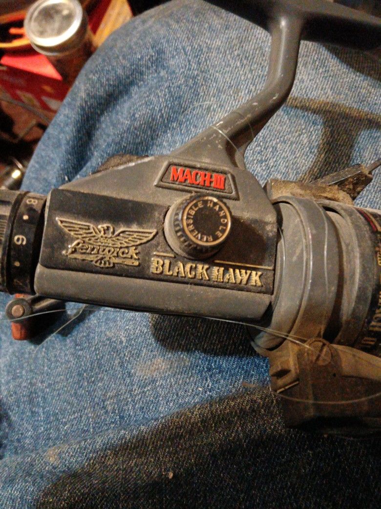 Fenwick Fishing Reel