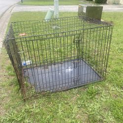 Big Dog Cage 