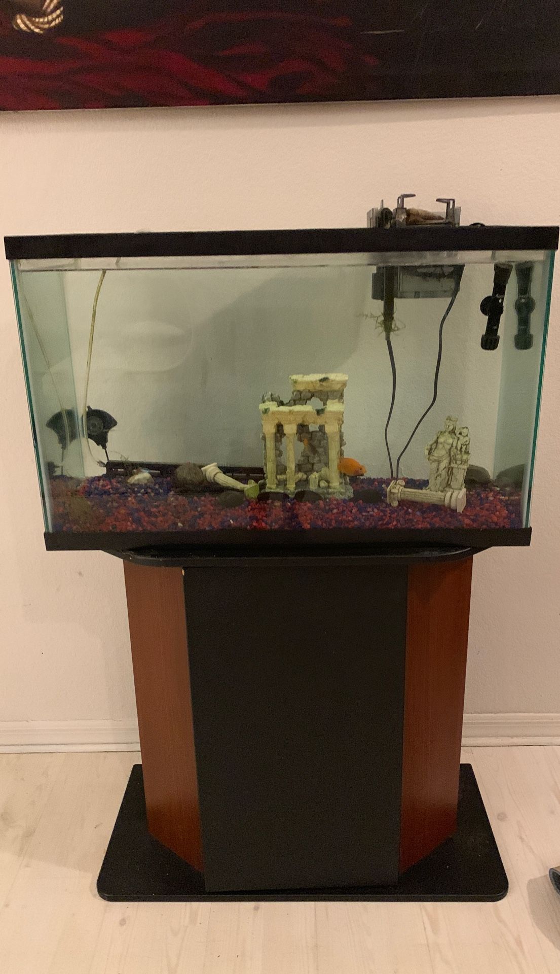 29 gallon fish tank and stand