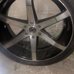 Rims 
