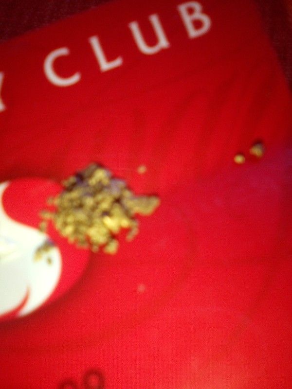 1 Gram Of Lost Dutchman's Gold Nuggets 