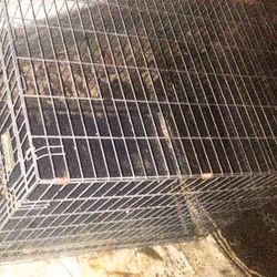 Dog Kennel 