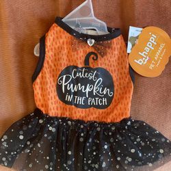 Halloween Pet Dress Xs