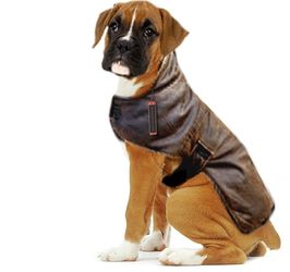 Dog Bomber Style Jacket