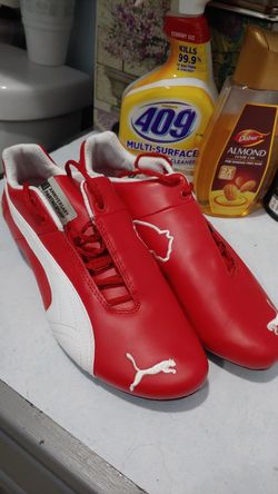 Puma/ferrari shoes