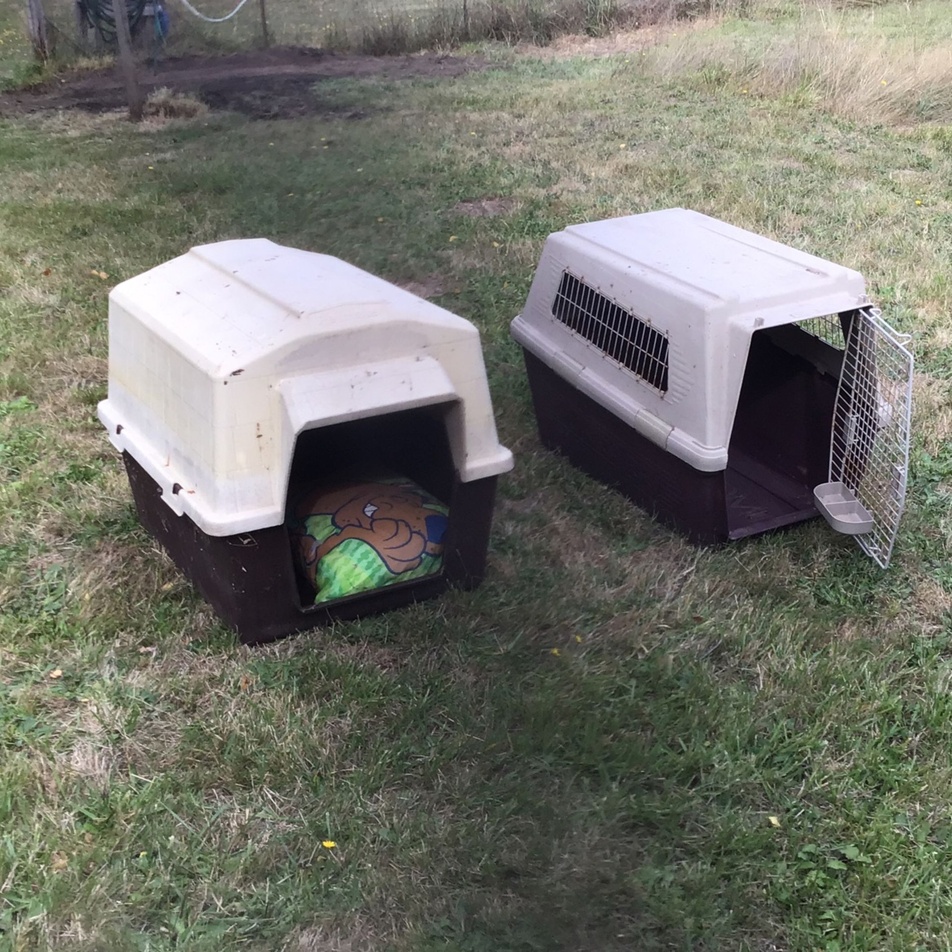 Large Dog Carrier And Also Lg Dog Shelter