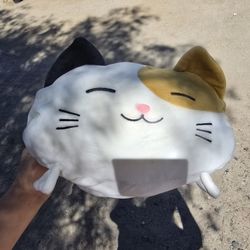 Cat Teddy Bear 
