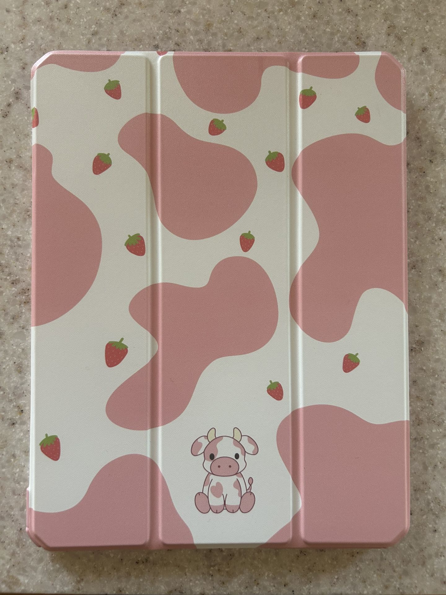iPad Air Case